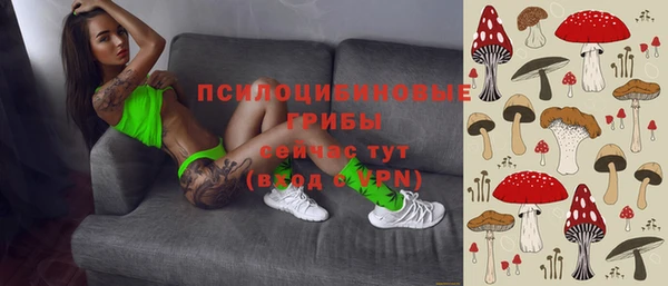 стафф Алзамай