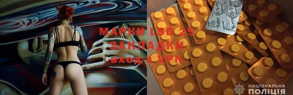 стафф Алзамай