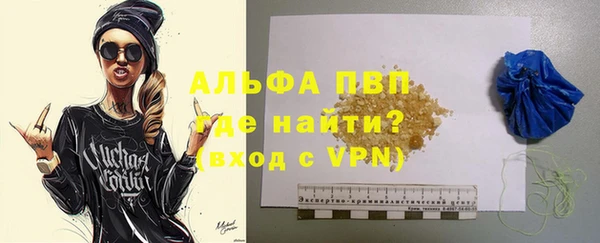 стафф Алзамай