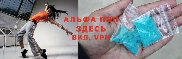 стафф Алзамай