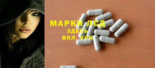 стафф Алзамай