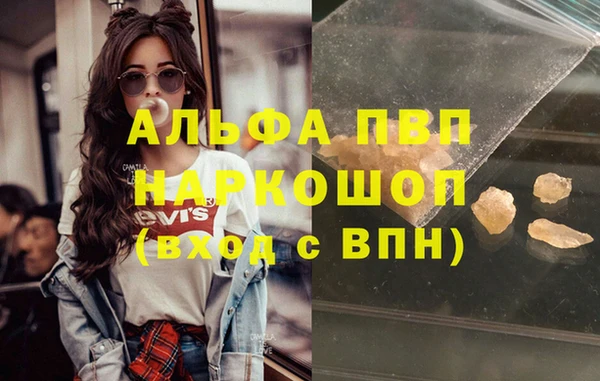 стафф Алзамай