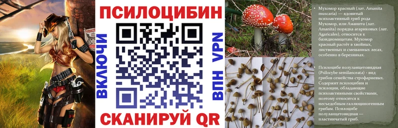OMG сайт  купить   Данков  Галлюциногенные грибы ЛСД 